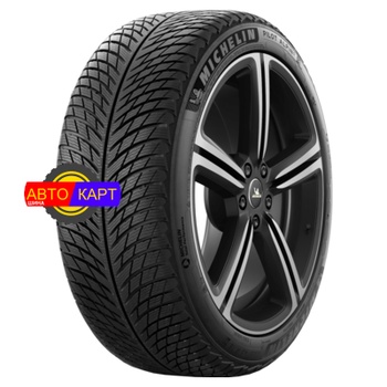 205/55R17 91H Pilot Alpin 5 MO TL