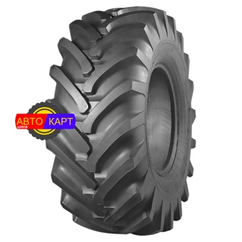 21,3-24 16PR 160A8 ИЯВ-79 TTF БЕЛАРУСЬ