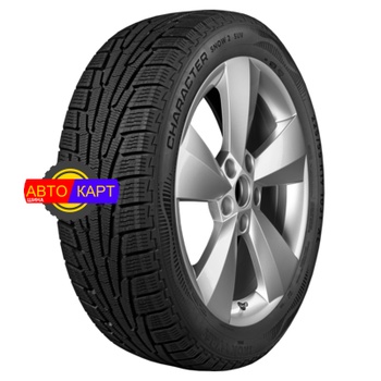 265/65R17 116R XL Character Snow 2 SUV TL